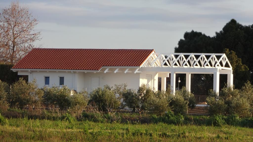 White Villas Douneika  Exteriör bild