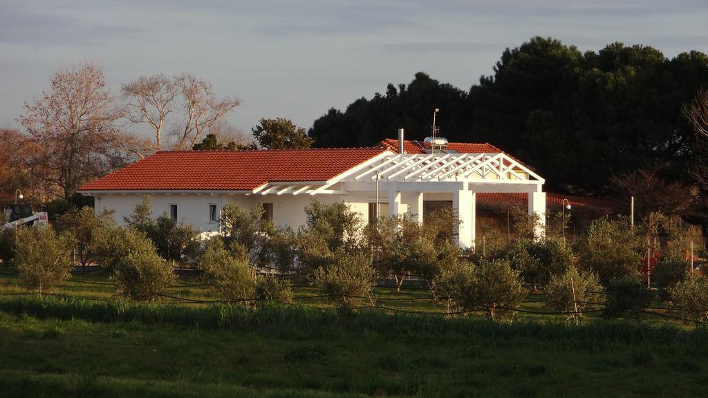 White Villas Douneika  Exteriör bild