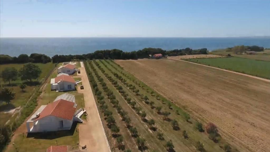 White Villas Douneika  Exteriör bild